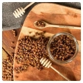 Bienenbrot-Schätze-Milben