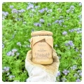 Phacelia-Honig-Mittelgroßes-Glas-Honig-aus-der-Imkerei