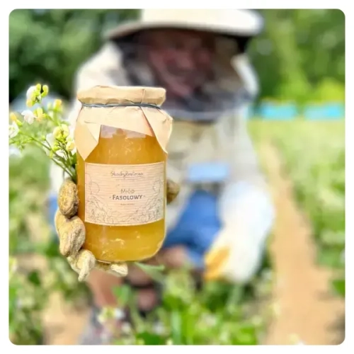 large-bean-honey-straight-from-the-apiary