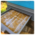 Pollen Collection - Roztocze Treasures Apiary
