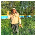 dandelion-honey-straight-from-the-apiary-large-jar