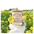 rapeseed-honey-medium-jar