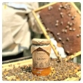 Waldhonig-direkt-aus-dem-Bienenstock-kleines-Glas