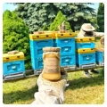 multi-flower-honey-straight-from-a-polish-apiary-small-jar