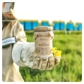 rapeseed-honey-small
