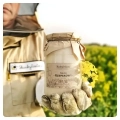 rapeseed-honey-straight-from-the-apiary