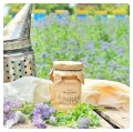 phacelia-honey-small-jar-of-honey-from-the-apiary