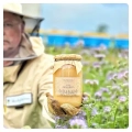 Phacelia-Honig-Großglas-Honig-aus-der-Imkerei