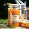 miod-lesny-1000g-skarby-roztocza-front-kwadrat.webp