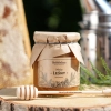 miod-lesny-650g-skarby-roztocza-produktowe-kwadrat-front-konsystencja.webp