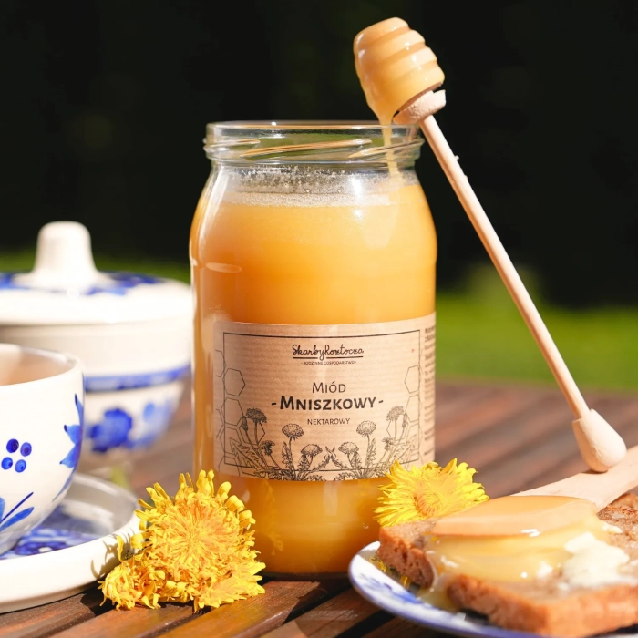 miod-mniszkowy-1000g-skarby-roztocza-kwadrat-produktowe-front-konsystencja-nabierak-sniadanie.webp
