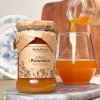 skarby-roztocza-syrop-z-pigwowca-front-kwadrat.webp