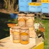 zestaw-roznych-miodow-4-duzych-sloikow-produktowe-ul.webp