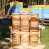 set verschiedener honigsorten 6 große gläser bienenstock