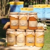 zestaw-roznych-miodow-7-duzych-sloikow-produktowe-wtle-ule.webp