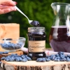 skarby roztocza haskap berry jam