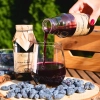 skarby roztocza honeyberry juice 100percent