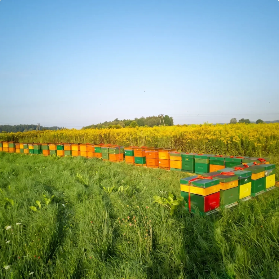 miod-nawlociowy-pasieka-skarby-roztocza.webp