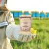 miel de colza petit rucher skarby roztocza sur le colza