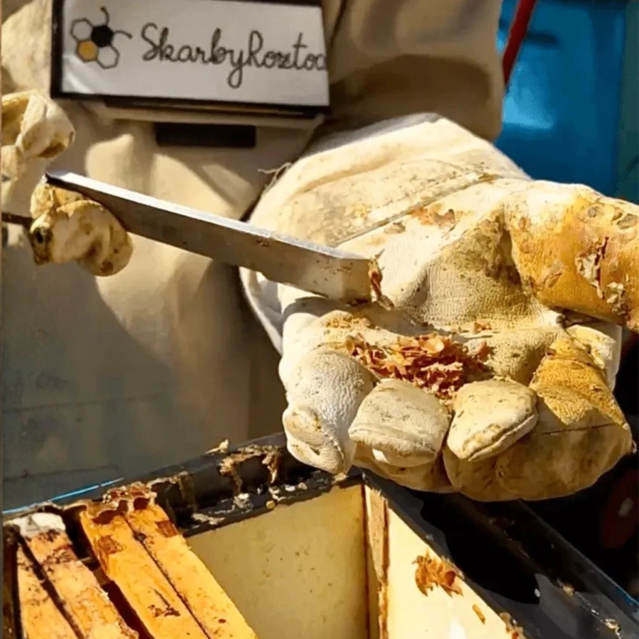 propolis-kit-pszczeli.webp