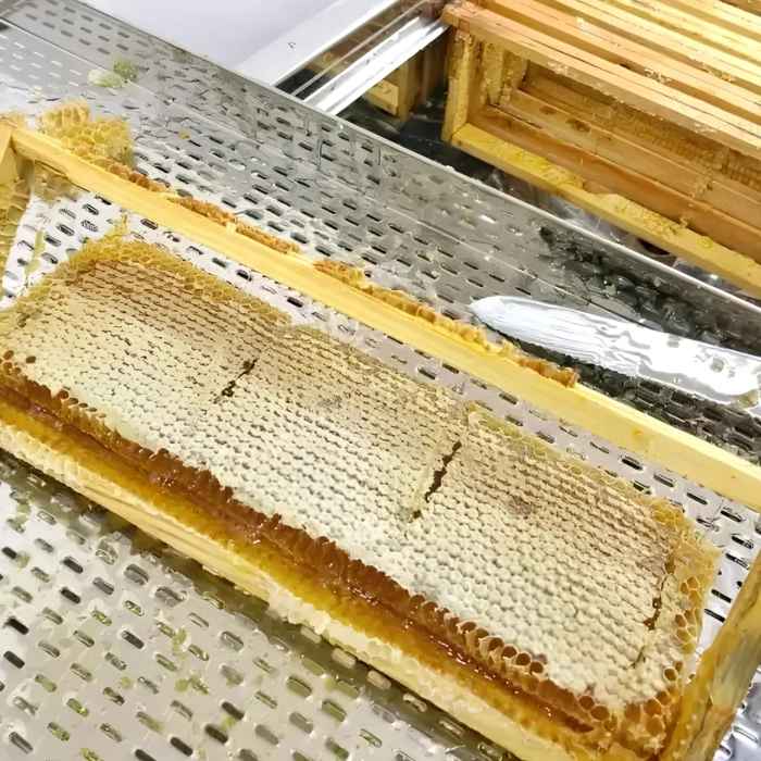 Wabenhonig direkt aus dem Bienenstock Schätze von Roztocze v