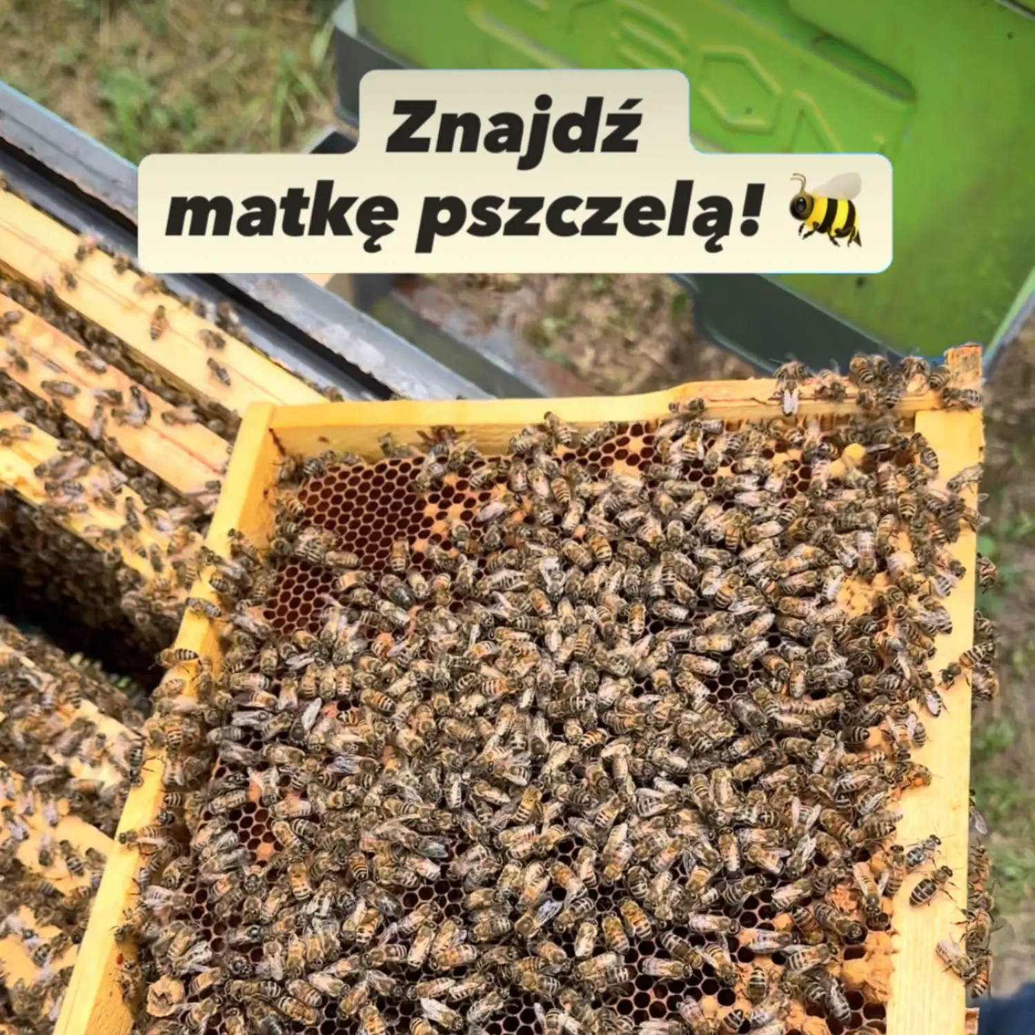 miody-skarby-roztocza-instagram-3