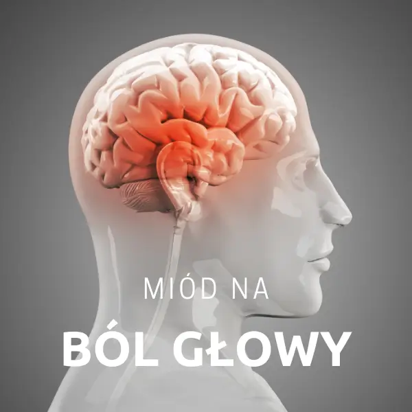 miod-na-bol-glowy