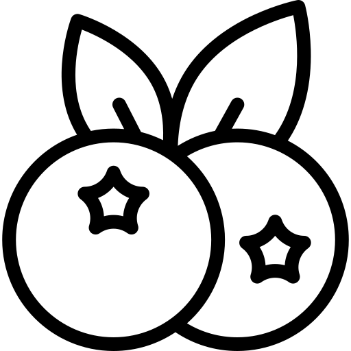 ikona borówka