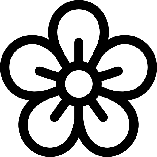 ikona tarcza