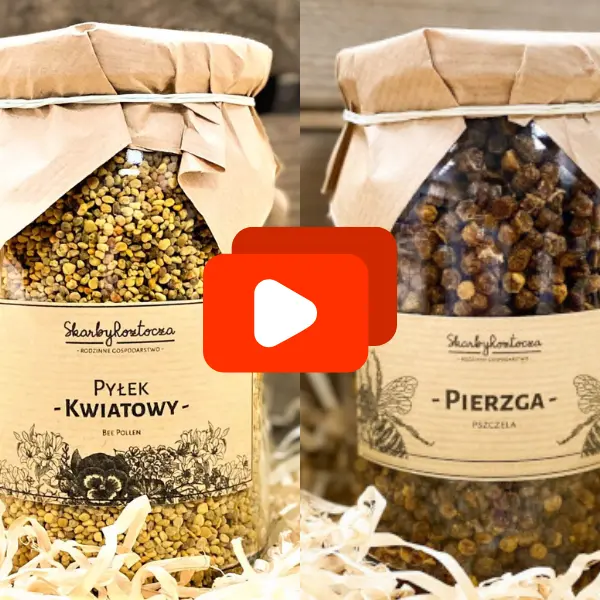 pierzga-a-pylek-film