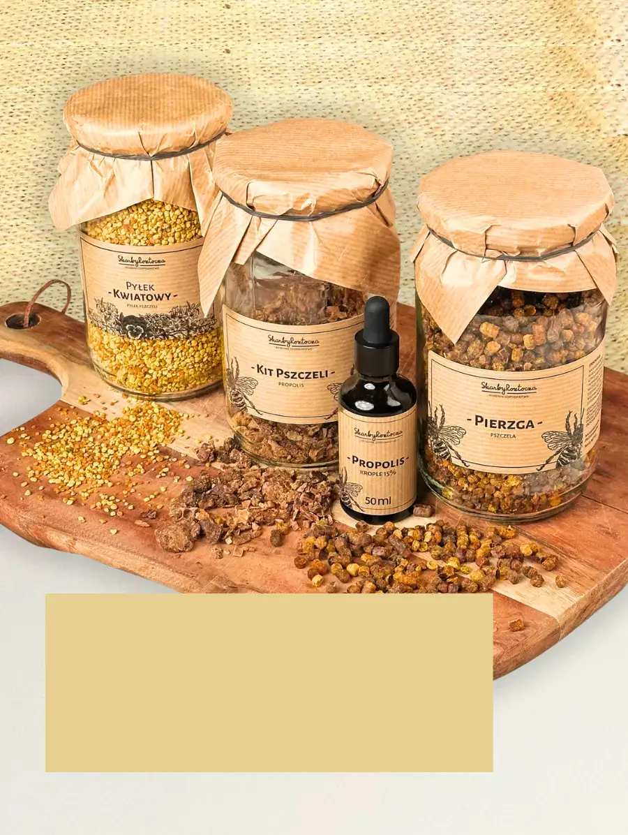 bee-bread-pollen-propolis