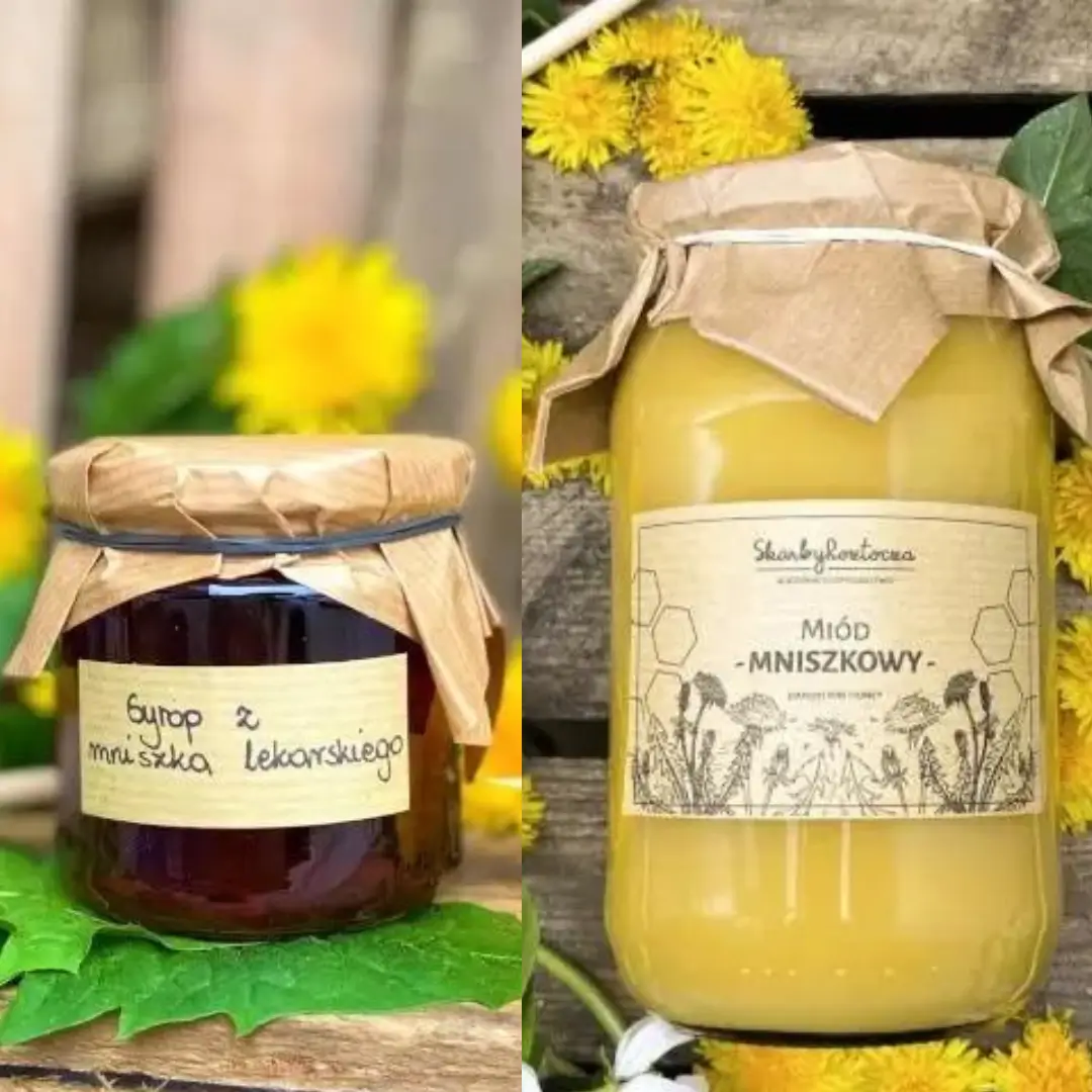 syrop-z-mniszka-a-miod-mniszkowy