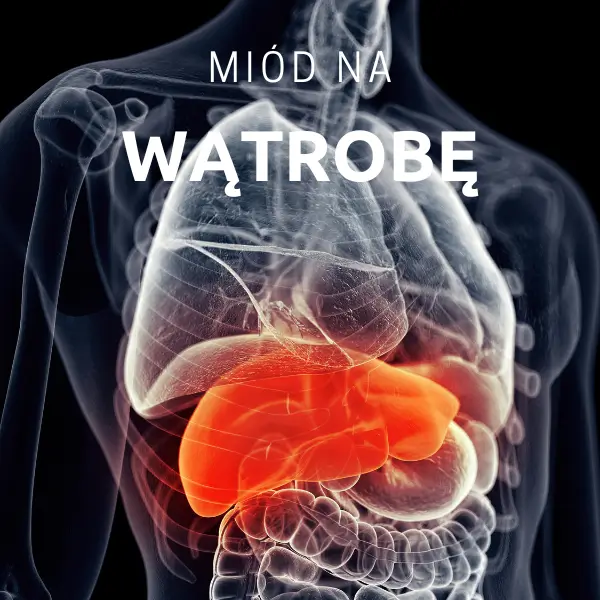 Miód dobry na wątrobę - jaki miód wybrać?