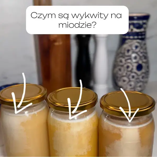 Czym są wykwity na miodzie?